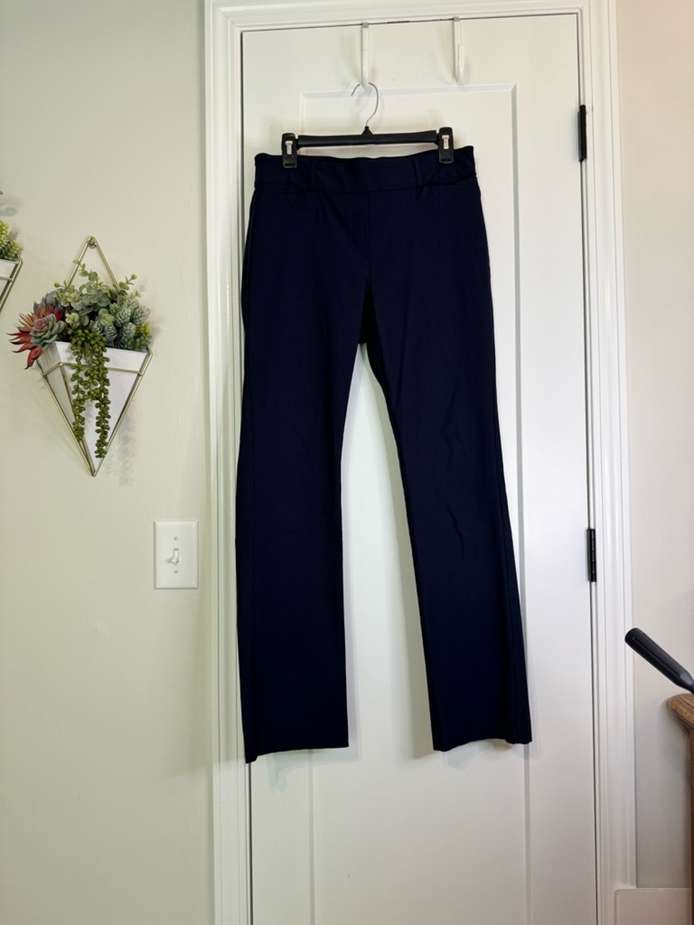 Rekucci Navy Pants